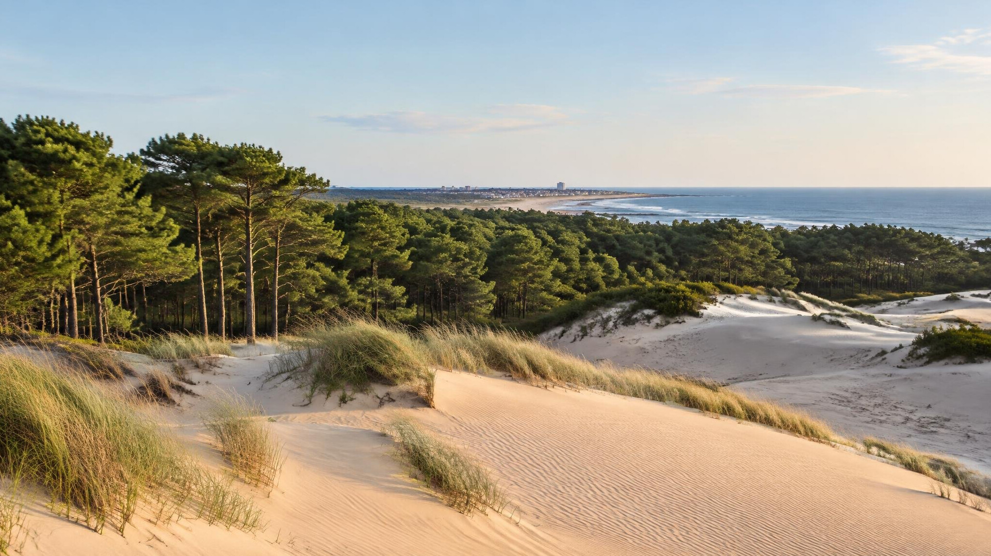 Open dunes and pine forest in Manantiales Uruguay
